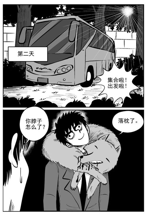 意想不到的结局最火短剧热播中，意想不到的结局动画片