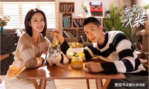 丽梅热播短剧大全在线观看（丽梅电视剧）