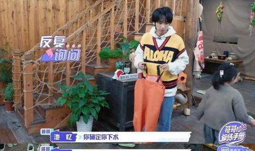 小葵花短剧热播在线观看【小葵花百度百科】