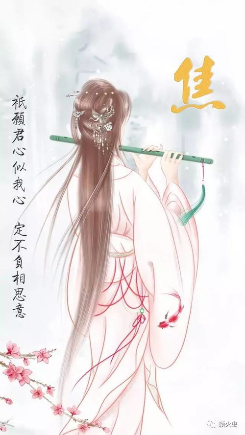 短剧热播不负相思不负君（不负相思不负君全文免费阅读）