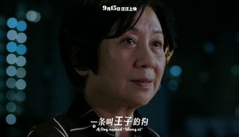 网红短剧连续剧热播（网络热播新短剧）