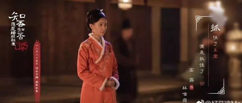 热播短剧女尊演员表(女尊电视剧或电影) 热播短剧女尊演员表(女尊电视剧或电影)