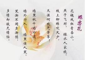 只待千帆尽短剧热播 - 千帆尽处