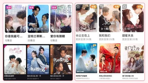热播短剧精彩继续视频大全，连续剧短视频