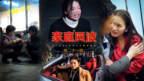 热播短剧我的五个老婆免费观看（我的五位妻子）