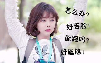 唯美热播短剧大全集视频（唯美短视频素材免费下载）