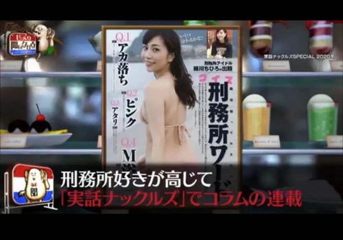 浴火成蝶短剧热播：浴火成诗在线试听