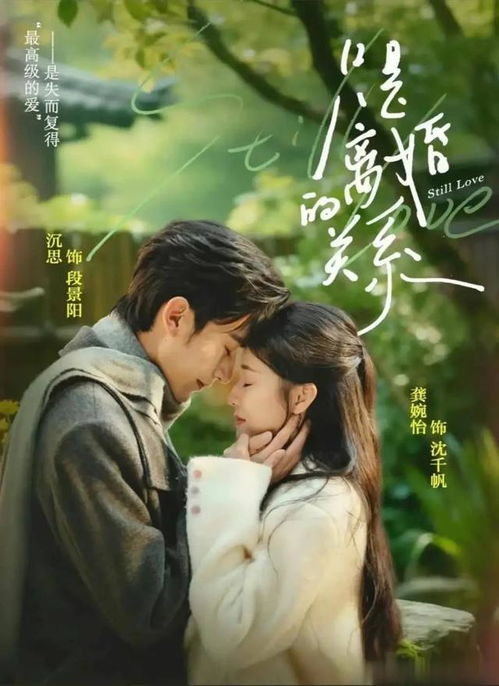 豪门憨婿短剧热播中【豪门傻婿免费】