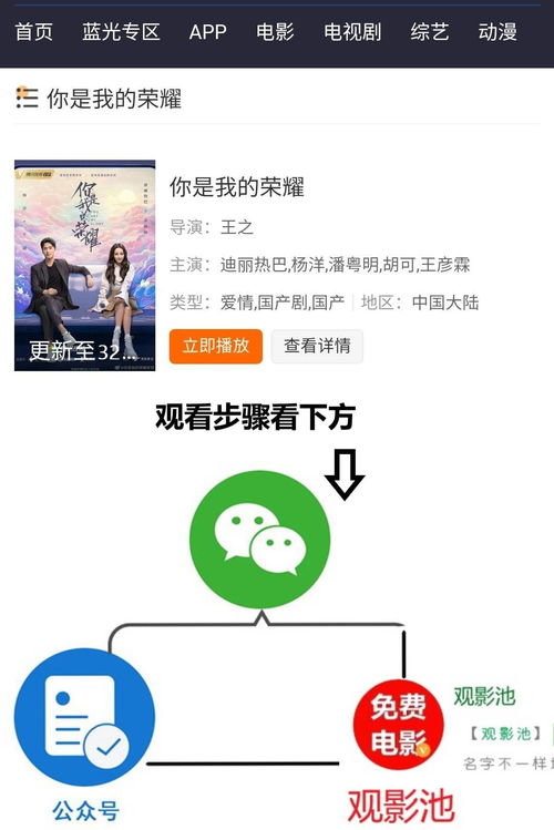 热播短剧教程视频大全免费【热播短剧教程视频大全免费下载】