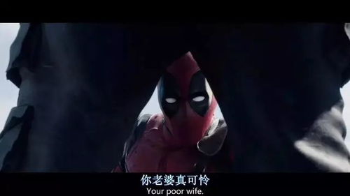 女装公司的王牌保镖短剧热播：女装界扛把子
