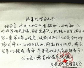 热播短剧本故事纯属虚构（简短剧本故事）