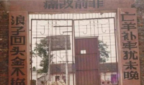 段美洋贾翼瑄热播短剧：段美洋几岁了