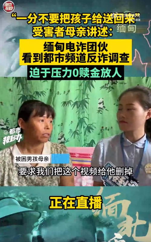 我在缅北当卧底短剧热播：我在缅甸的北部
