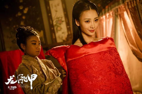 热播短剧龙门飞甲免费观看（龙门飞甲40集电视剧完整版5集）