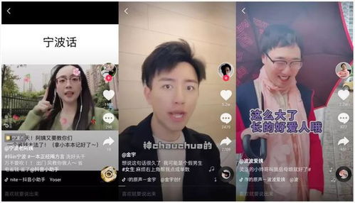 抖音短剧《向阳而生》热播【抖音短剧向阳而生热播视频】