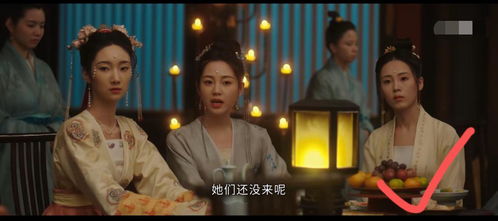 龙婿热播短剧在线观看免费【龙婿电视剧】