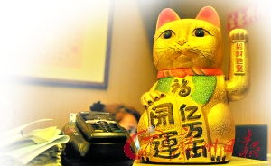 招财猫热播短剧在线观看 - 招财猫热播短剧在线观看全集