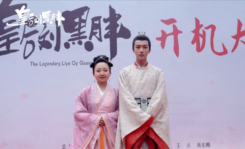洋子热播短剧在线观看免费：洋子主演的古装剧有哪些
