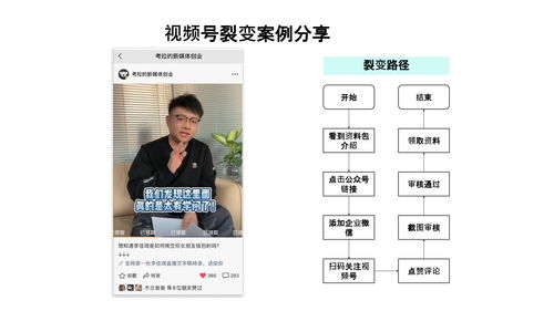 短剧热播解说怎么做视频 - 做视频解说怎么赚钱