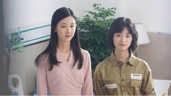 短剧热播女频两个字：两个字小说女主角的名字