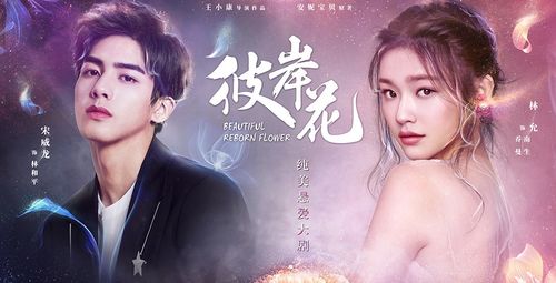 小宋短剧热播剧有哪些 - 小宋是什么电视剧
