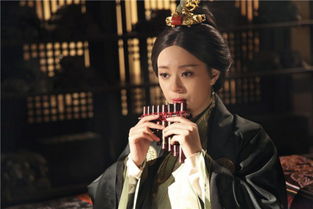 马乐婕最新短剧热播，马乐导演简历