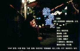 都市热播爱情短剧推荐一下：最火都市爱情剧