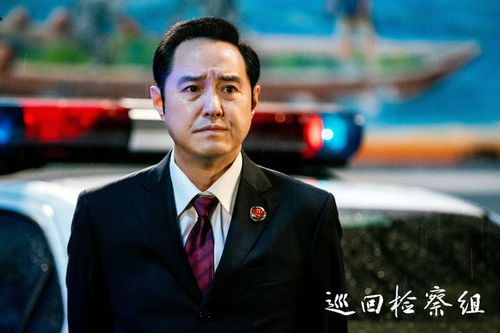王东热播短剧大全集（王东是哪部电视剧的男主角）