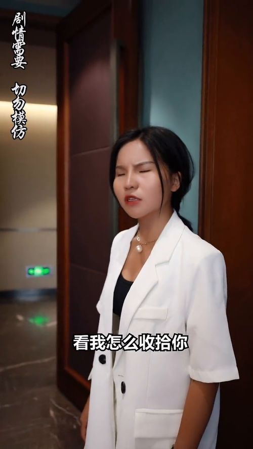 热播短剧主演陆凌风的电视剧（陆凌风郑琳）