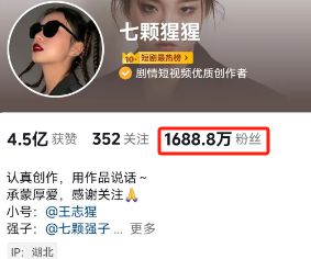 授权热播短剧我的妈妈：我的妈吖