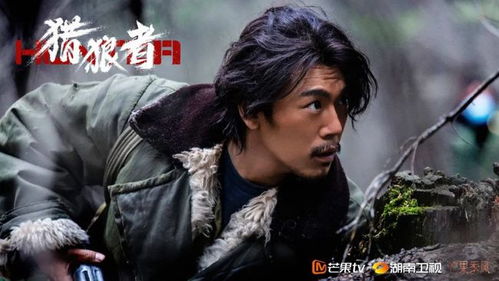 天团热播短剧免费观看全集：天团是谁