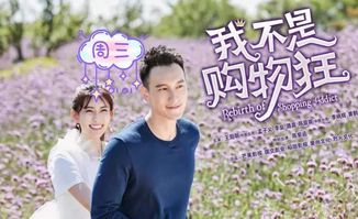 1月免费热播短剧大全（1月热播电视剧）