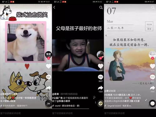 抖音爆款短剧热播【抖音比较火的短剧】