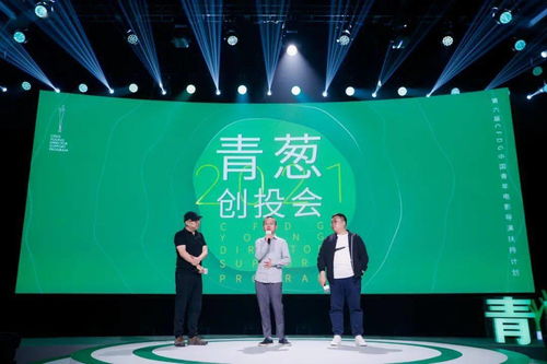 热播完结短剧有哪些类型（短剧排行榜2021最新）