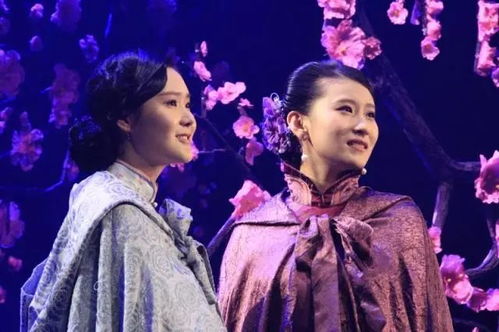 再世红妆覆江山短剧热播 - 再世红梅记 电影