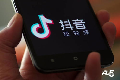 短剧热播抖音首页搜索在线观看（短剧 抖音）