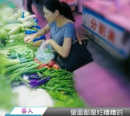 慈祥老人卖菜遇博主善举，车祸离世引发社会深思——英汉双语报道